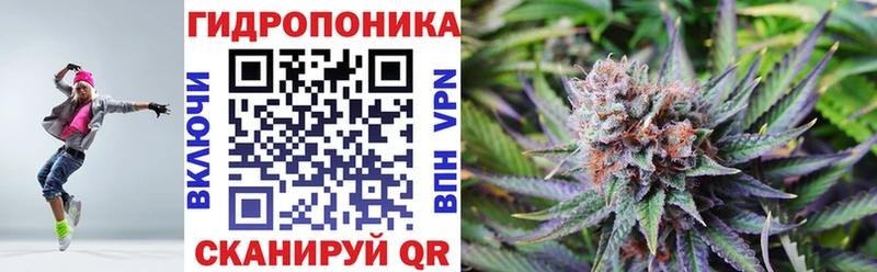 Канабис планчик где купить omg ссылка Барабинск